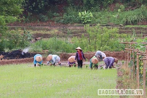 Chiềng Sơn chủ động phòng, chống thiên tai