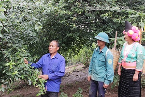 Những người “giữ và truyền lửa” của bản mường