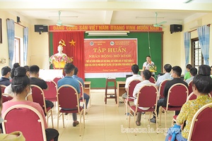 Tập huấn các biện pháp bảo vệ, chăm sóc, phát triển cây cà phê