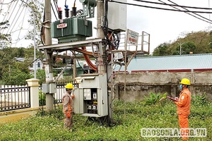 Quản lý, vận hành an toàn hệ thống lưới điện trong mùa mưa lũ
