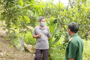 Cựu chiến binh làm kinh tế giỏi