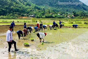 Nghĩa tình tháng bảy ở Mường Thải