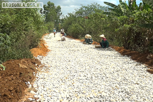 Học và làm theo Bác tạo động lực cho phát triển