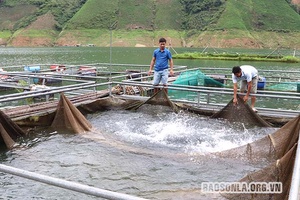 Hỗ trợ khách hàng vượt qua đại dịch COVID-19