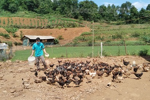 Bản Lầm chuyển hướng sản xuất