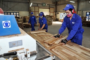 Hiện thực hóa tốt hơn cơ hội từ EVFTA