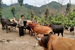 Nơi vùng cao Pá Kạch