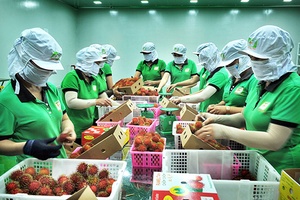 Hoa Kỳ sẽ không hạn chế thương mại đối với hàng hóa xuất khẩu của Việt Nam