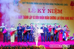 Xây dựng Quỹ đứng trong tốp đầu của hệ thống quỹ tín dụng cả nước