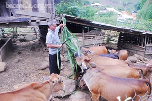 Hua Nhàn hỗ trợ hội viên phát triển kinh tế