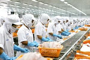 Hỗ trợ doanh nghiệp duy trì sản xuất, tiêu thụ nông sản