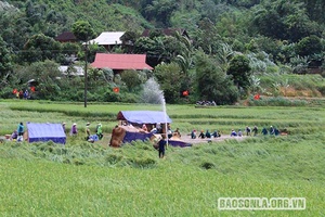 Hỏi đáp về Luật sửa đổi, bổ sung một số điều của Luật Phòng, chống thiên tai và Luật Đê điều