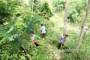 É Tòng chú trọng công tác xây dựng Đảng