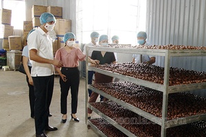 Đồng chí Phó chủ tịch UBND tỉnh kiểm tra công tác tiêu thụ nông sản 