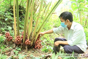 Bí thư Chi bộ bản năng động, tận tâm