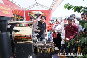 Sẵn sàng cho thu hoạch, chế biến cà phê