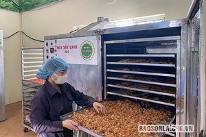 Lợi ích tham gia chương trình bình chọn sản phẩm công nghiệp nông thôn tiêu biểu