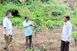 Trưởng bản vùng cao năng động, gương mẫu