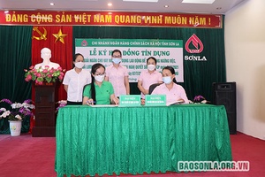 Giải ngân cho 5 doanh nghiệp, đơn vị vay vốn theo Nghị quyết 68 của Chính phủ