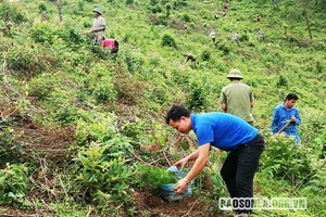 Thi đua "65 ngày cao điểm" chào mừng Ngày truyền thống Hội LHTN Việt Nam