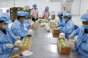 Giải pháp bền vững tiêu thụ nông sản