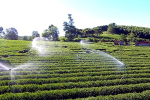 Chuyển đổi số trong nông nghiệp