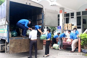 Ngành Nông nghiệp và PTNT tỉnh ủng hộ thực phẩm cho huyện Phù Yên