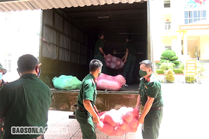 Hỗ trợ trên 2 tấn rau củ cho nhân dân thành phố Hà Nội phòng chống dịch Covid-19