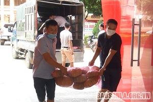 Thuận Châu ủng hộ nhu yếu phẩm phục vụ phòng, chống dịch Covid-19