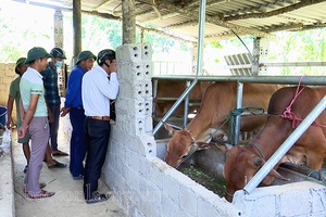 Nhiều mô hình kinh tế hiệu quả ở Liên Hòa
