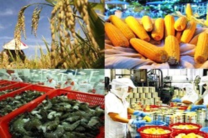 Xuất khẩu nông lâm thủy sản gặp khó do dịch Covid-19