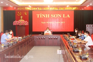 Triển khai kế hoạch sản xuất vụ đông 2021 các tỉnh phía Bắc