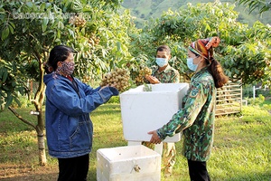 Phát huy vai trò quyền làm chủ của nhân dân