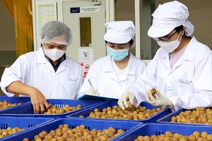 “Thông đường” cho nông sản miền bắc