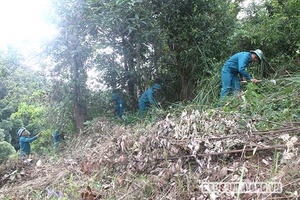 Bảo đảm tiến độ chi trả dịch vụ môi trường rừng