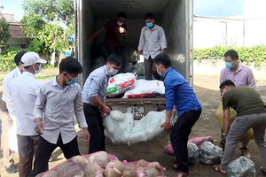 Ủng hộ 6 tấn rau, củ, quả cho nhân dân thành phố Hà Nội