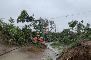 Khẩn trương khắc phục hậu quả bão số 5 và chủ động ứng phó mưa, lũ