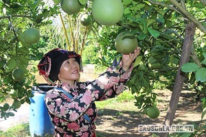 Chi hội trưởng phụ nữ tiêu biểu toàn quốc