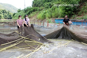 Phụ nữ Bắc Yên giúp nhau phát triển kinh tế