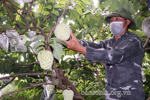 Mai Sơn xây dựng nông thôn mới gắn với giảm nghèo bền vững