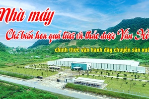 Nhà máy Chế biến hoa quả tươi và thảo dược Vân Hồ chính thức vận hành dây chuyền sản xuất