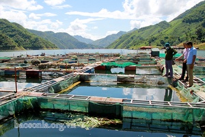 Nguồn vốn giúp hộ nghèo phát triển kinh tế