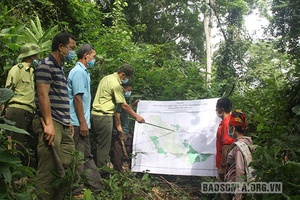 Quỳnh Nhai làm tốt công tác quản lý, bảo vệ rừng