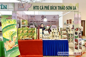 HTX cà phê Bích Thao gắn sản xuất với bảo vệ môi trường