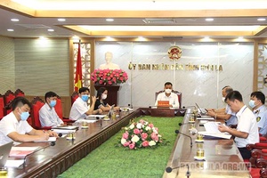 Khống chế và tiến tới loại trừ bệnh dại 