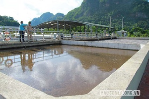 Dự án xử lý nước thải trên địa bàn Thành phố