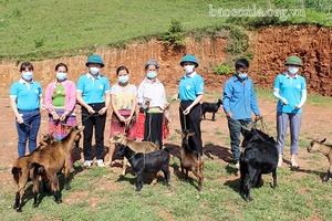 Hỗ trợ hội viên nghèo mua dê giống