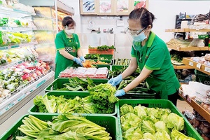 Mở cửa từng bước, bảo đảm an toàn phòng dịch