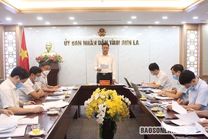 Thực hiện hiệu quả chính sách chi trả dịch vụ môi trường rừng