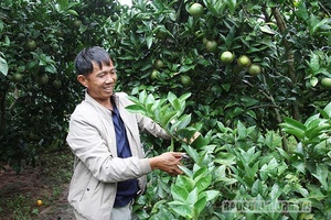 Những nông dân tiêu biểu ở Vân Hồ